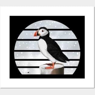 Puffin Winter Snow Bird Watching Birding Ornithologist Gift Posters and Art